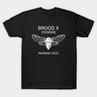 Cicada Brood X 2021 T-Shirt